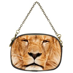 Africa African Animal Cat Close Up Chain Purses (one Side)  by BangZart