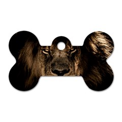 African Lion Mane Close Eyes Dog Tag Bone (one Side) by Celenk