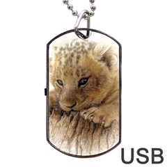 Lion Cub Close Cute Eyes Lookout Dog Tag Usb Flash (two Sides) by Celenk