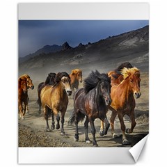 Horses Stampede Nature Running Canvas 11  X 14   by Celenk