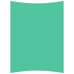 Seafoamy Green Back Support Cushion by snowwhitegirl