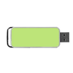 Minty Portable Usb Flash (two Sides) by snowwhitegirl