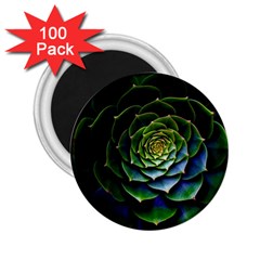 Nature Desktop Flora Color Pattern 2 25  Magnets (100 Pack)  by Nexatart