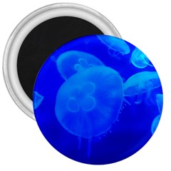 Blue Jellyfish 1 3  Magnets by trendistuff