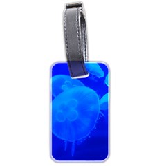 Blue Jellyfish 1 Luggage Tags (two Sides) by trendistuff