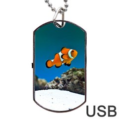 Clownfish 1 Dog Tag Usb Flash (one Side) by trendistuff