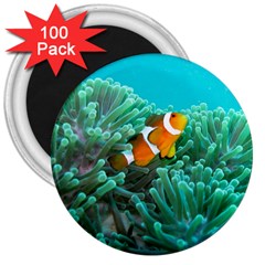 Clownfish 3 3  Magnets (100 Pack) by trendistuff