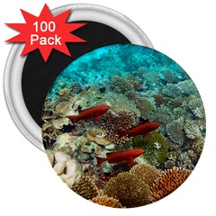 Coral Garden 1 3  Magnets (100 Pack) by trendistuff