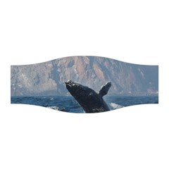 Humpback 1 Stretchable Headband by trendistuff