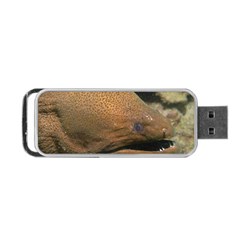 Moray Eel 1 Portable Usb Flash (one Side) by trendistuff