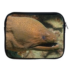 Moray Eel 1 Apple Ipad 2/3/4 Zipper Cases by trendistuff