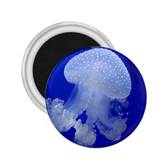 Spotted Jellyfish 2 25  Magnets by trendistuff