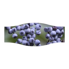 Blueberries 2 Stretchable Headband by trendistuff