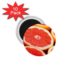 Grapefruit 1 1 75  Magnets (10 Pack)  by trendistuff