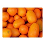 KUMQUAT 2 Double Sided Flano Blanket (Mini)  35 x27  Blanket Front