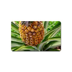 Pineapple 2 Magnet (name Card) by trendistuff