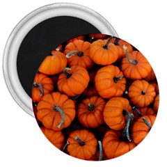 Pumpkins 2 3  Magnets by trendistuff