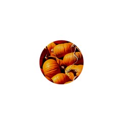 Pumpkins 3 1  Mini Magnets by trendistuff