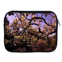 Highland Park 9 Apple Ipad 2/3/4 Zipper Cases by bestdesignintheworld