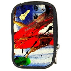 Catalina Island Not So Far 1 Compact Camera Cases by bestdesignintheworld