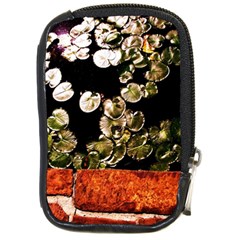 Highland Park 4 Compact Camera Cases by bestdesignintheworld