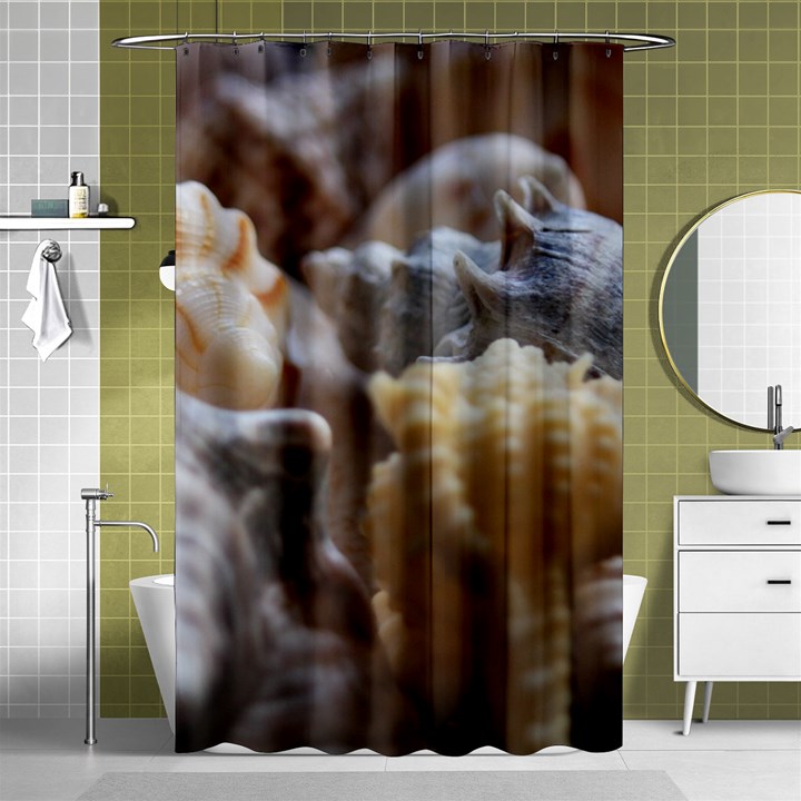 Seashells Shower Curtain 48  x 72  (Small) 