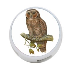 Bird Owl Animal Vintage Isolated 4-port Usb Hub (two Sides)  by Sapixe