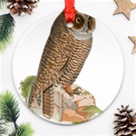 Bird Owl Animal Vintage Isolated Round Ornament (Two Sides) Back