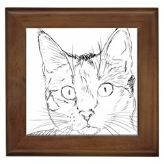 Cat Feline Animal Pet Framed Tiles by Sapixe