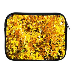 Birch Tree Yellow Leaves Apple Ipad 2/3/4 Zipper Cases by FunnyCow