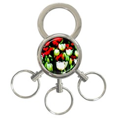 White And Red Sunlit Tulips 3-ring Key Chains by FunnyCow