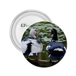 Muscovy Ducks at the Pond 2.25  Buttons Front