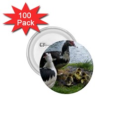 Muscovy Family 1 75  Buttons (100 Pack)  by IIPhotographyAndDesigns