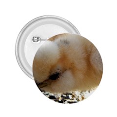 Silkie Chick  2 25  Buttons by IIPhotographyAndDesigns