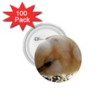 Silkie Chick  1.75  Buttons (100 pack)  Front