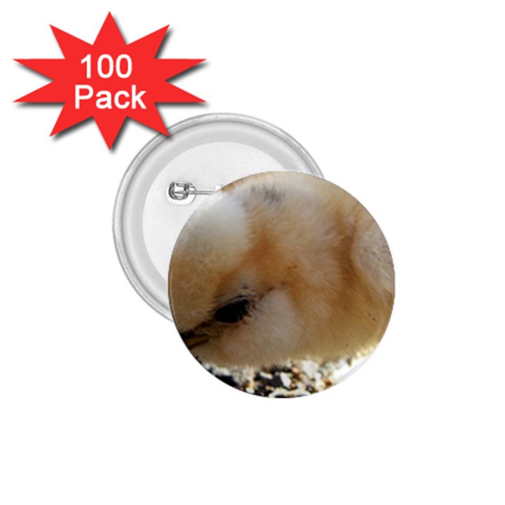 Silkie Chick  1.75  Buttons (100 pack) 