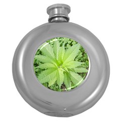 Cannabis Hip Flask (round) by cannabisVT