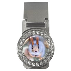 Squirrel Looks At You Money Clips (cz)  by FunnyCow