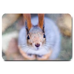 Squirrel Looks At You Large Doormat  by FunnyCow