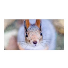 Squirrel Looks At You Satin Wrap by FunnyCow