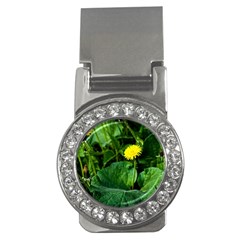 Yellow Dandelion Flowers In Spring Money Clips (cz)  by FunnyCow