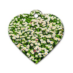 Green Field Of White Daisy Flowers Dog Tag Heart (one Side) by FunnyCow