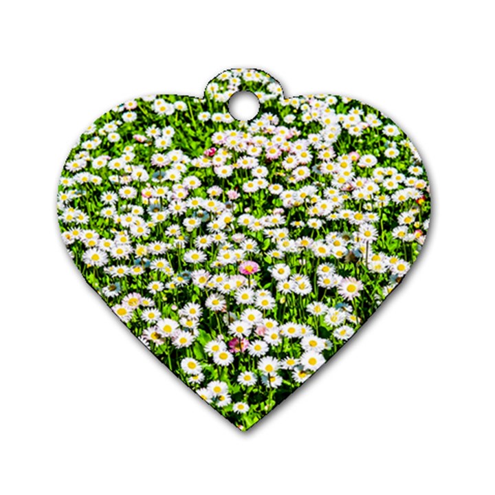 Green Field Of White Daisy Flowers Dog Tag Heart (One Side)