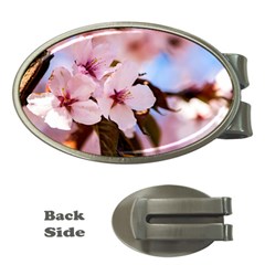 Three Sakura Flowers Money Clips (oval)  by FunnyCow