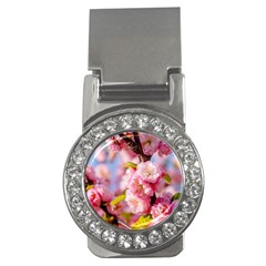 Flowering Almond Flowersg Money Clips (cz)  by FunnyCow