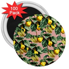 Fruit Branches 3  Magnets (100 Pack) by snowwhitegirl