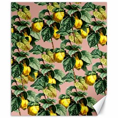 Fruit Branches Canvas 8  X 10  by snowwhitegirl