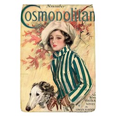 Cosmopolitan Fc November 1917 Removable Flap Cover (l) by vintage2030