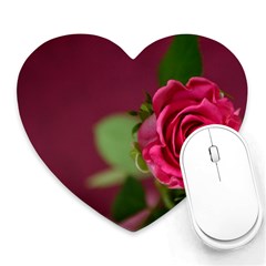 Rose 693152 1920 Heart Mousepads by vintage2030