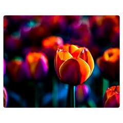 Red Tulips Double Sided Flano Blanket (medium)  by FunnyCow